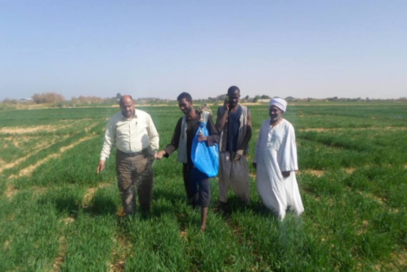 Building Resilient Food Security Systems to Benefit Southern Egypt