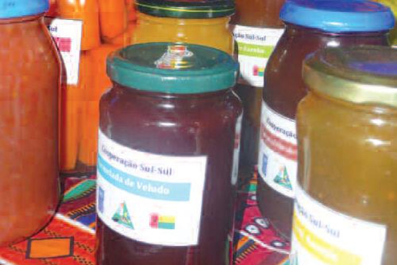 Support for Lowland Rehabilitation and for Agricultural and Livestock Processing (Project III), IBSA Fund