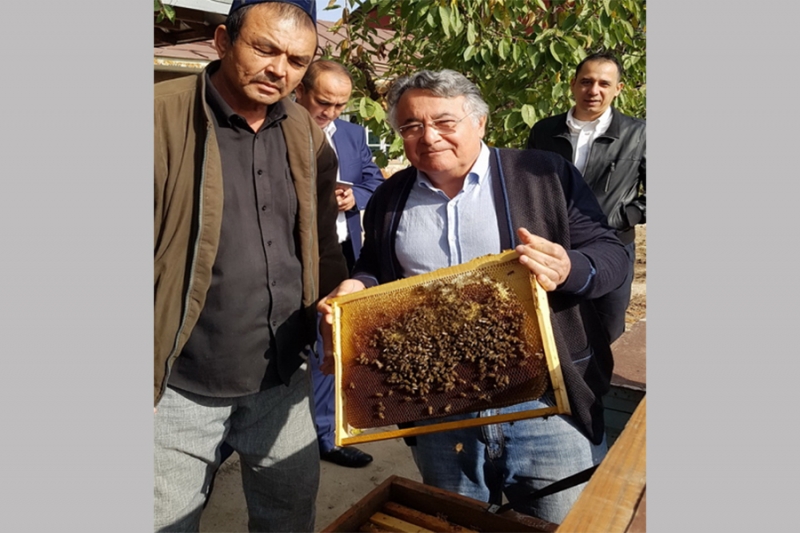 Syst&egrave;me de gestion de support de colonie d'abeilles