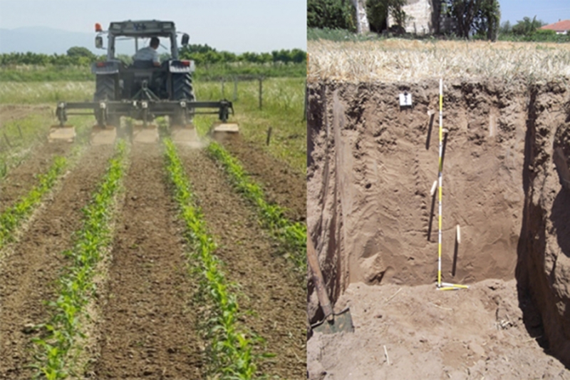 PPP in agriculture: General Directorate of Agricultural Research and Policies (TAGEM)