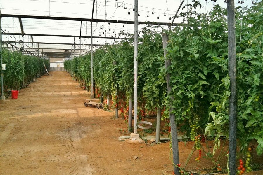 Greenhouses Sensor
