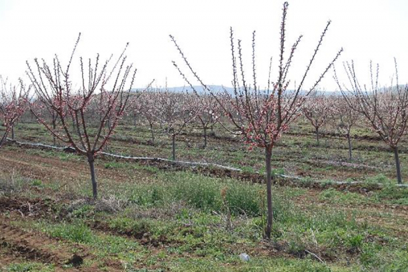 Trousse d'information en ligne pour l'acc&egrave;s au financement (Instrument d'aide de pr&eacute;adh&eacute;sion pour le d&eacute;veloppement rural (IPARD) en Mac&eacute;doine