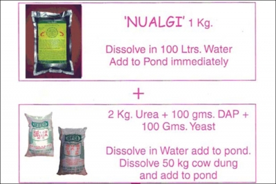 Nualgi Aqua for Aqua Culture, Prawn and Fish Growth