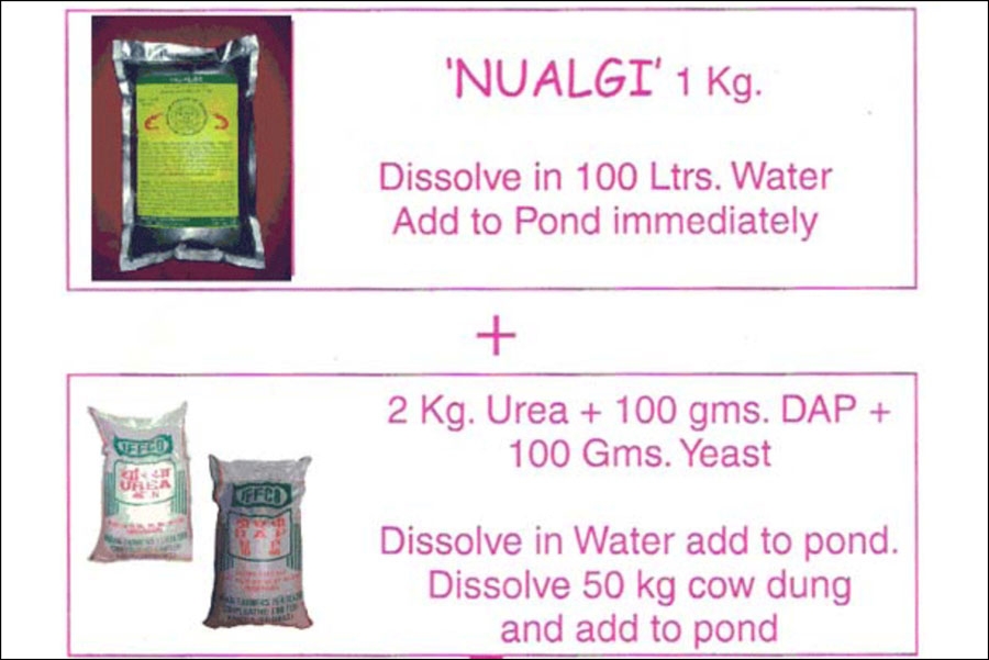 Nualgi Aqua for Aqua Culture, Prawn and Fish Growth