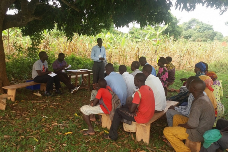 Scaling up of IFAD&rsquo;s Rural Youth Employment Interventions in the NENA Region