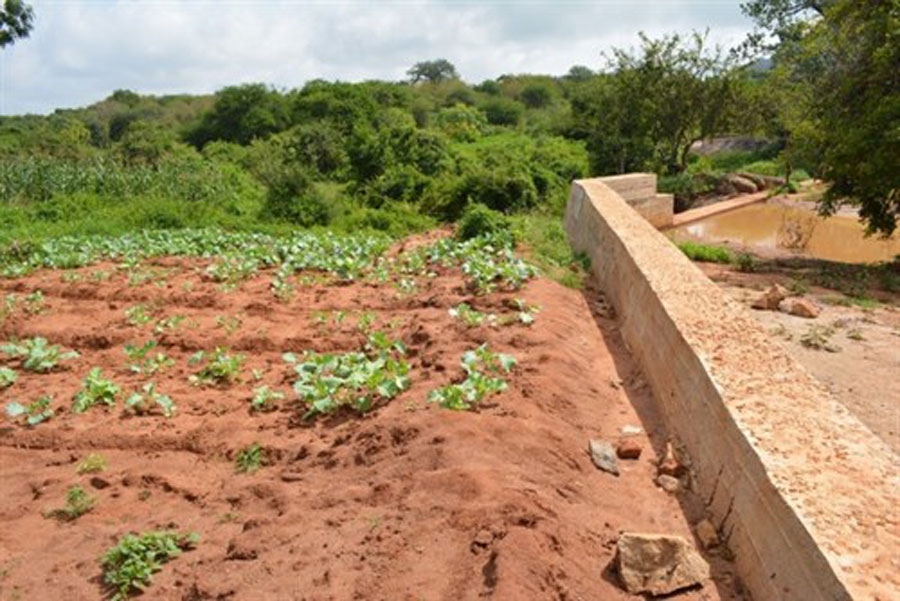 Sand Dams for Climate Resilience