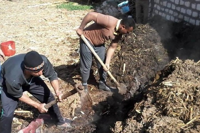 Safe disposal of agricultural waste in Egypt