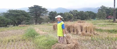 Fang Thai&rsquo;s rice straw paper