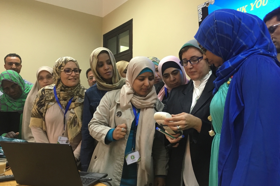 Solutions d'apprentissage mutuel sur le contr&ocirc;le des infections crois&eacute;es entre h&ocirc;pitaux pour les pays du Moyen-Orient