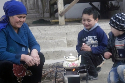 Sustainable energy solutions and innovative business models in rural Tajikistan