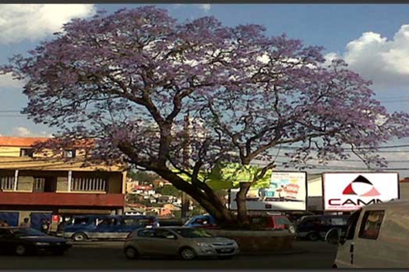 Sharing experience and best practices between Arbitration and Mediation Centers of Madagascar and Burkina Faso