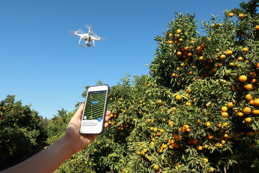 Intelligent Tools for Perennial Crops