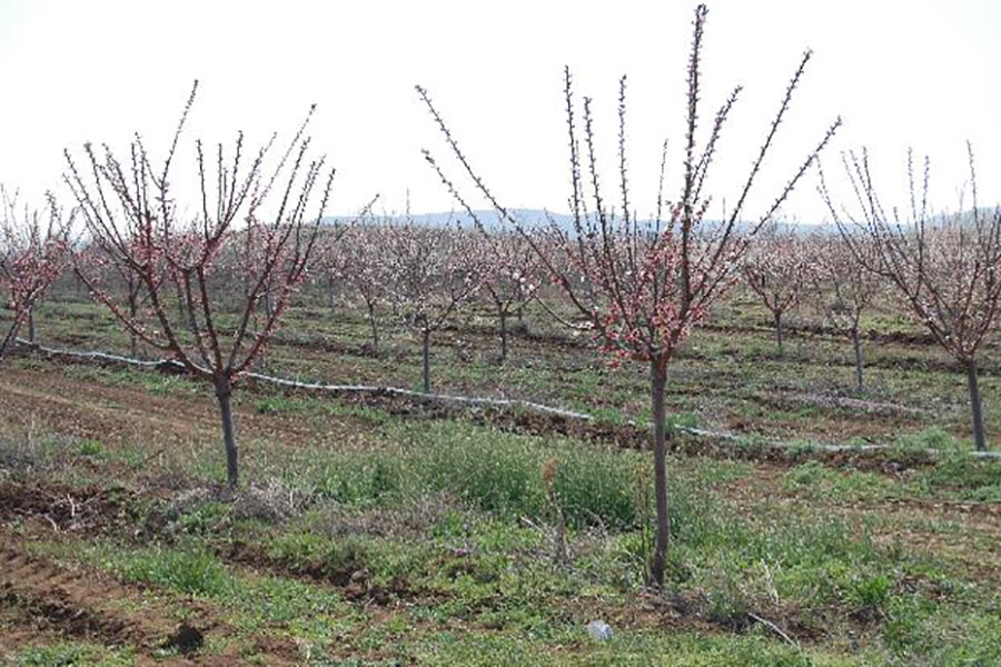 Online Information Toolkit for access to funding (Instrument for Pre-accession Assistance for Rural Development (IPARD) in Macedonia