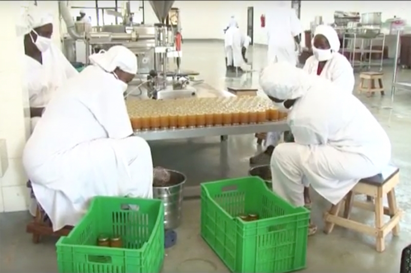 South-South Youth Exchange: Youth from Saudi Arabia Exploring Global Development Solutions