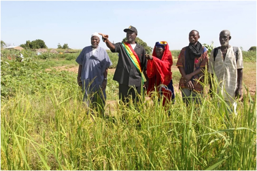 Инвестиционные клубы для местного развития