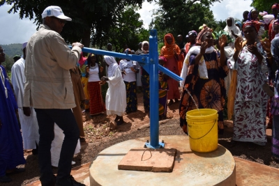 Renforcement de la R&eacute;silience des Moyens d&rsquo;Existence des Communaut&eacute;s Agricoles de Gaoual, Koundara et Mali (REMECC-GKM)