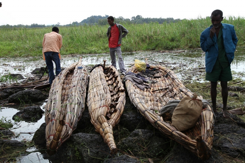 Nile Basin Capacity Building Network (NBCBN) Knowledge Network: Egypt