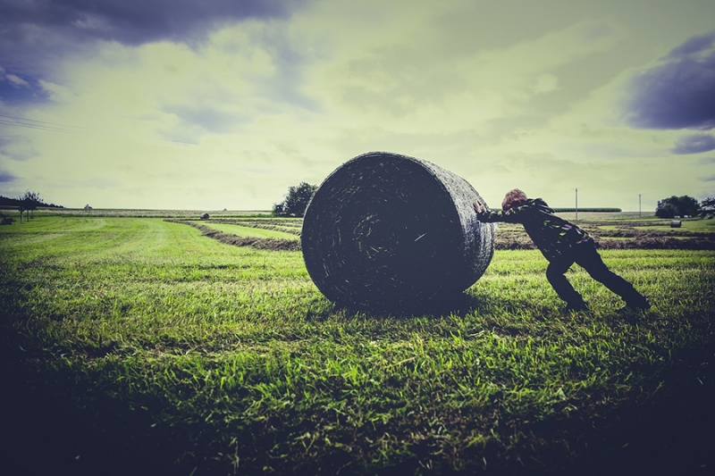 Registration of family farms and Market accessibility by short food supply chains