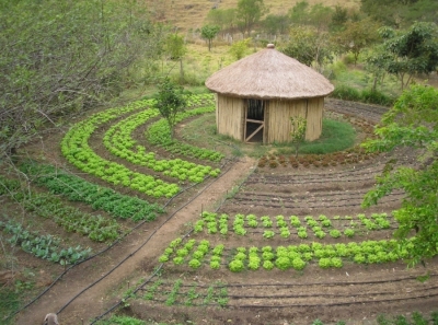 Appui au d&eacute;veloppement du programme PAIS (Production Agro&eacute;cologique Int&eacute;gr&eacute;e et Durable) au S&eacute;n&eacute;gal