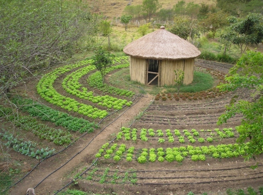 Appui au d&eacute;veloppement du programme PAIS (Production Agro&eacute;cologique Int&eacute;gr&eacute;e et Durable) au S&eacute;n&eacute;gal
