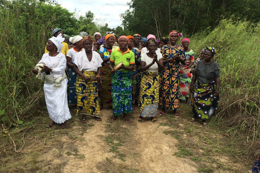 دعم صياغة خطط التكيف الوطنية (NAPs) للتأثيرات الضارة لتغير المناخ (CC)