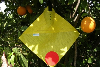 FreeDome by Biofeed: Fruit fly &lsquo;Iron Dome&rsquo;