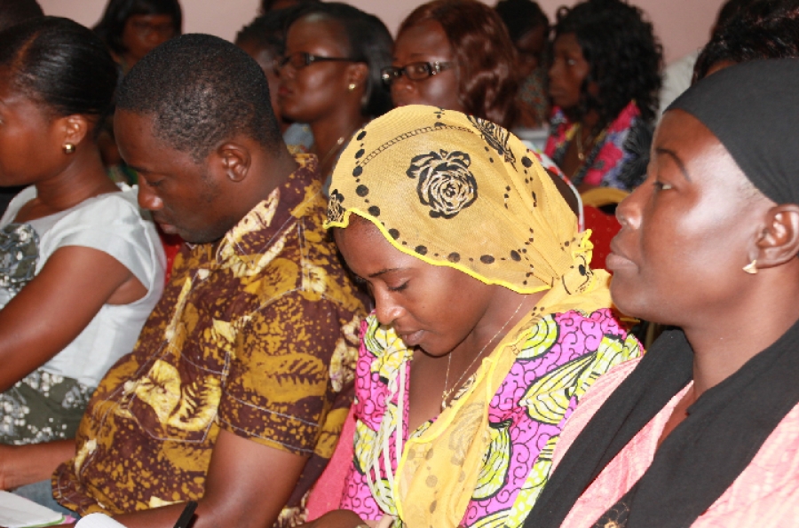 Establishment of a peace infrastructure in Niger