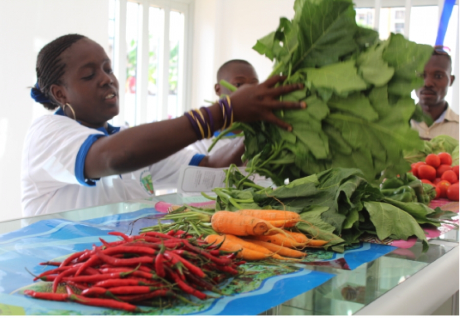 SDG Private Sector Mobilization &ndash; Labour Market System