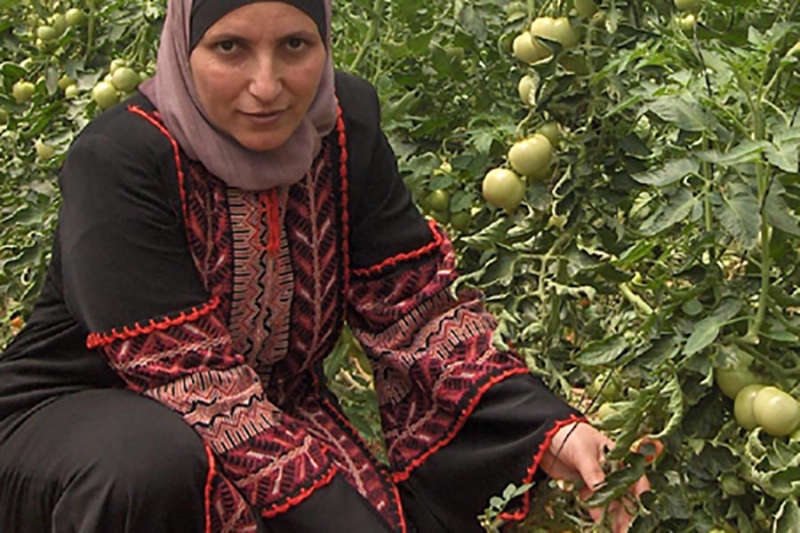 دور التعاونيات في تعزيز عمالة الشابات